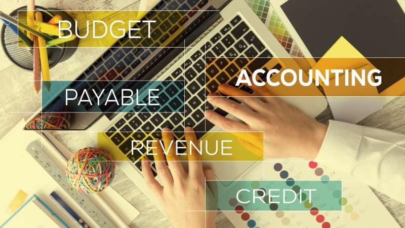 Wave vs QuickBooks: Which Accounting Software Is Best for Your Business